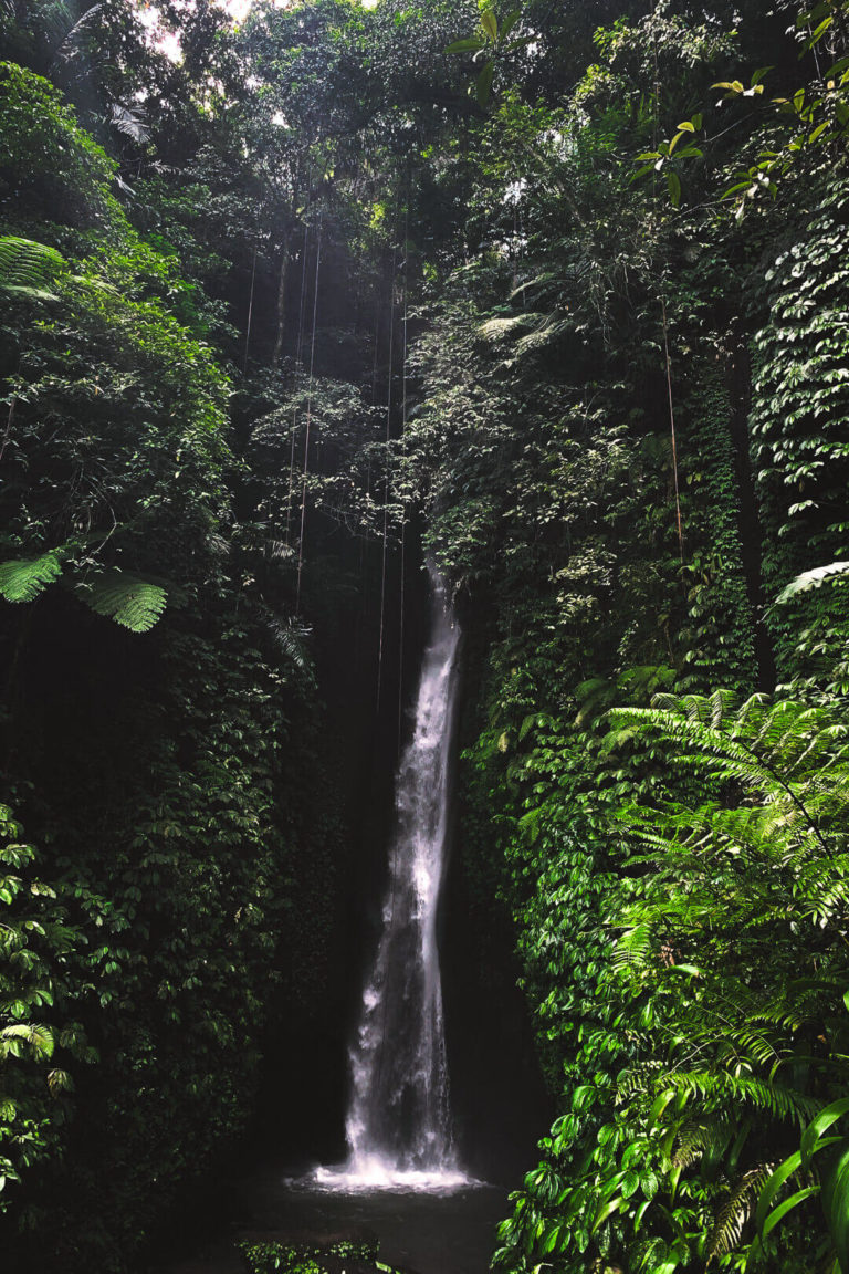 Leke Leke Waterfall Bali