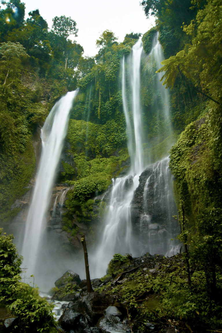 Sekumpul Waterfall from the base