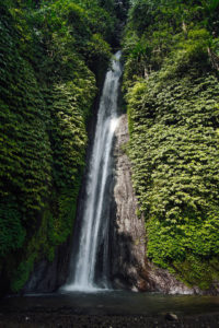 Read more about the article Munduk Waterfall Trek 2023 Complete Guide