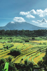 Read more about the article BUKIT CINTA, MOUNT AGUNG VIEWPOINT – 2023 Guide