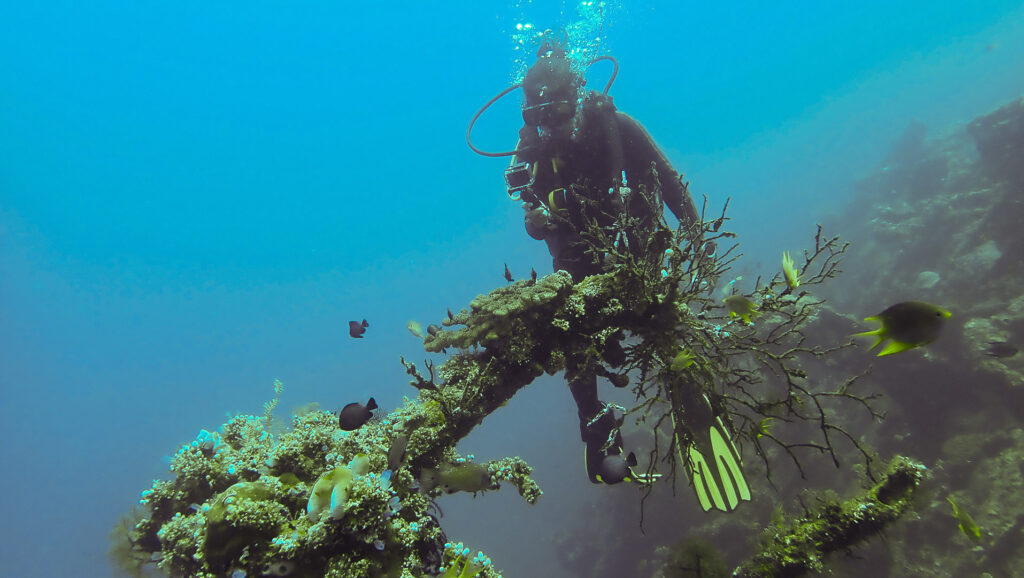 diving in amed bali