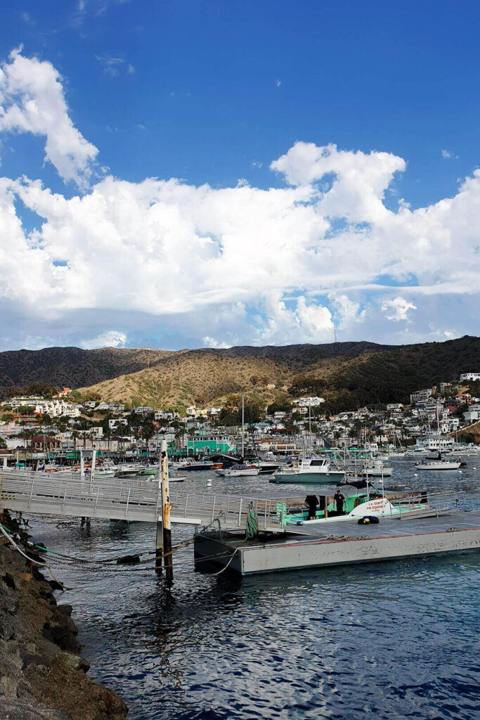 harbor at catalina island