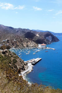 Read more about the article Catalina Island 2023 Complete Guide