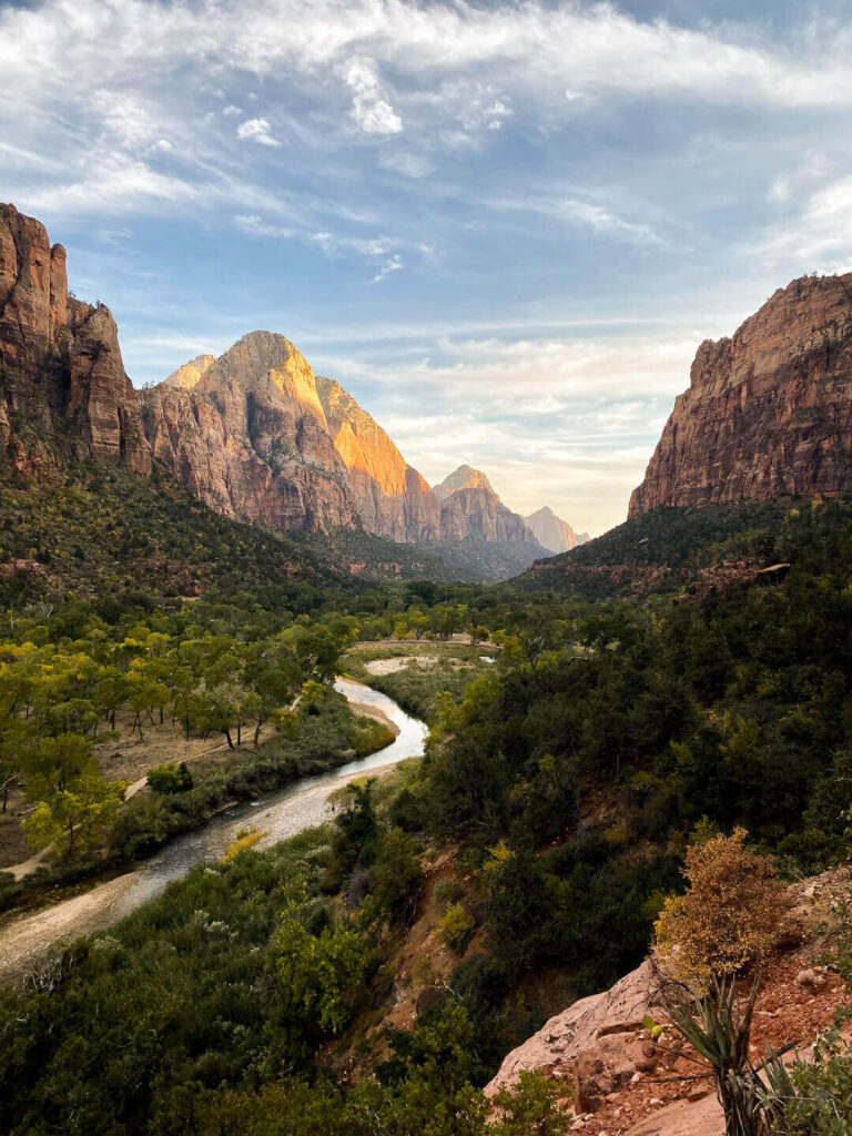 zion national park forest